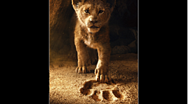 Timeline: JAVI TECNO