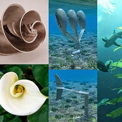 Timeline: Línea del tiempo de Deep Water Horizon