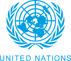 U.N looks into human rights violations