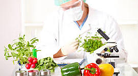 Timeline: la ciencia y la tecnología de los alimentos