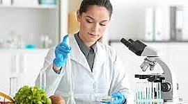 Timeline: ciencia y tecnologia de los alimentos Gerardo Rivera