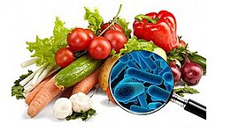 Timeline: Desarrollo histórico en la tecnología de los alimentos