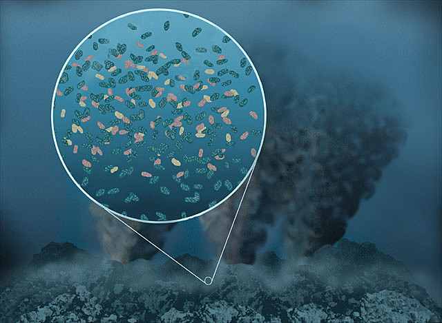 Los sedimentos acuáticos