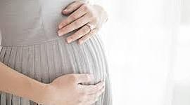 Timeline: Pregnancy By Months