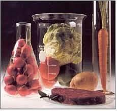 Química de los alimentos.