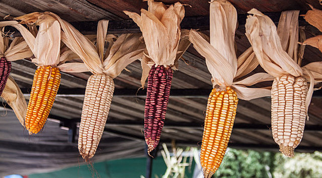 El influjo de America