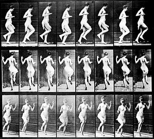 Edward Muybridge
