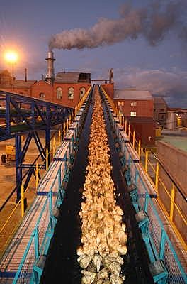 Chaptal- Fábricas de azúcar de remolacha