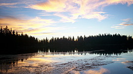 Timeline: Mi vida como 80 años