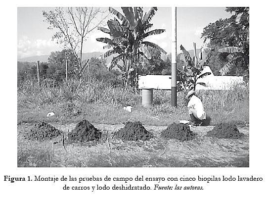 Bioremediation of sludge contaminated with used lubricants (Bucaramanga, Colombia)