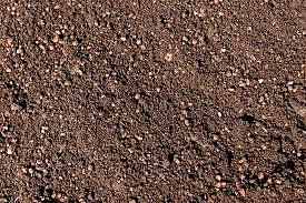 Soil bioremediation contaminated with hydrocarbons using residual muds as an alternate source of nutrients (Durango, México)