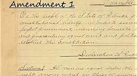 Timeline: Progressive Amendments