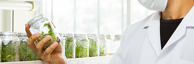 The Centro de Investigaciones Biotecnológicas de Ecuador (CIBE) de la Escuela Superior Politécnica del Litoral (Espol) have Microorganisms such as yeasts, bacterias that can reduce the soil contamination in Ecuador