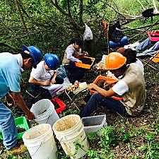 Biological agents are applied in the soils of Pemex in Veracruz to eliminate pollution