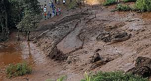 Bioremediation of sludge contaminated with used lubricating oils