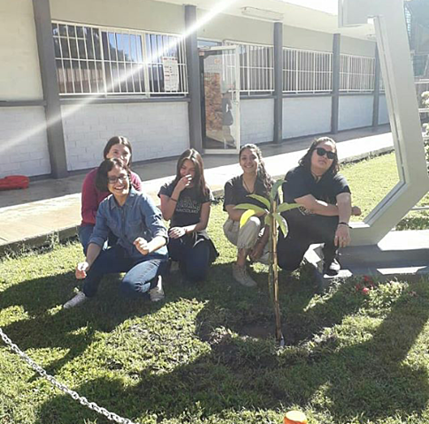 Proyectos del 4to semestre