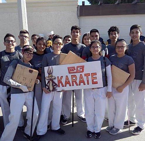 Desfile en karate