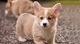 Timeline: 10 jobs and 3 houses