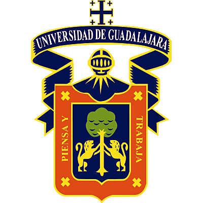 Timeline: HISTORIA DE LA WEB 2.0