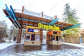 Mi pasantía en el zoológico