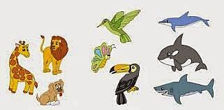 D.C Clasificación según la utilidad de los seres vivos