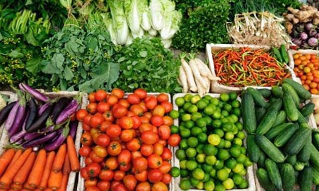 Aumento de la producción agrícola