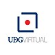Udg virtual logo primary
