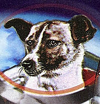 3 ноября 1957 года