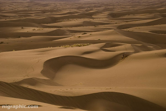 (250 million years ago) Permian