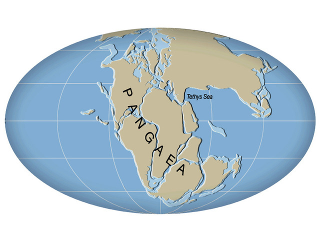 (200 million years ago) Pangaea Starts to Break Apart