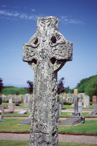 wilbur dies of typoid fever