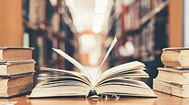 Timeline: My Literary History - Baylee Frampton