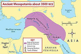 LA CERVEZA UN ALIMENTO