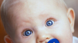 Timeline: meriwether lewis