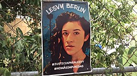 Timeline: Pelear hasta que la justicia se haga costumbre