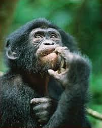 ENPRESA IDEA PENTSATU