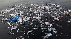 Lutero contro la chiesa