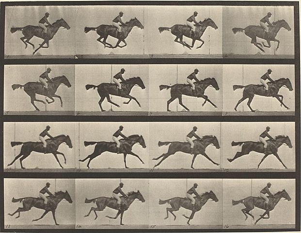 Eadweard Muybridge