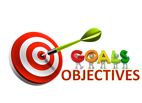 DECIDE THE OBJECTIVES