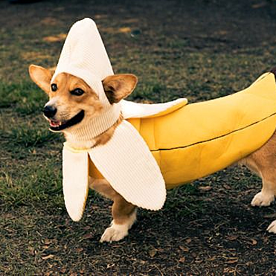 Timeline: Road to Revolution