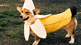 Timeline: Road to Revolution