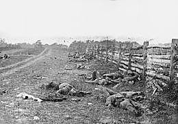 Bodies on the Battlefield of Antietam