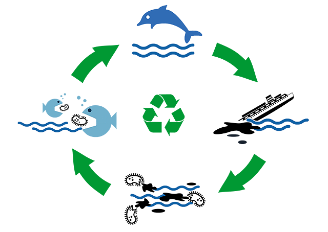 Biorremediación del subsuelo y acuífero (Puerto Rico)