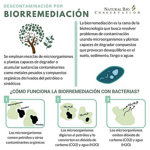 Biorrremediación de suelo tropical (Brasil)