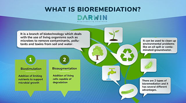 Biorremediación de suelo contaminado (Durango, México)