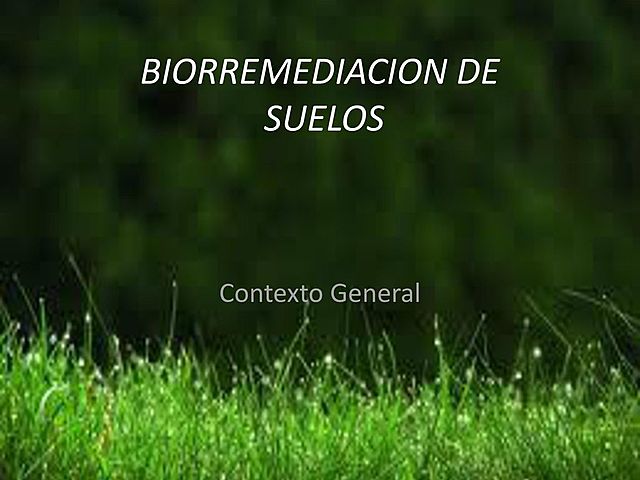 Biorremediación de Suelos Agrícolas (México)