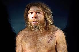 Neanderthal