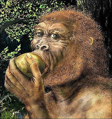 Autralopithecus
