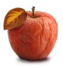 Teoría Geosinclinal (James D. Dana)