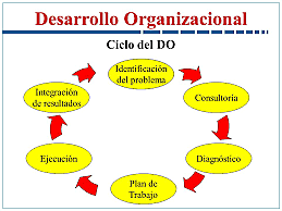 Toería del Desarrollo Organizacional